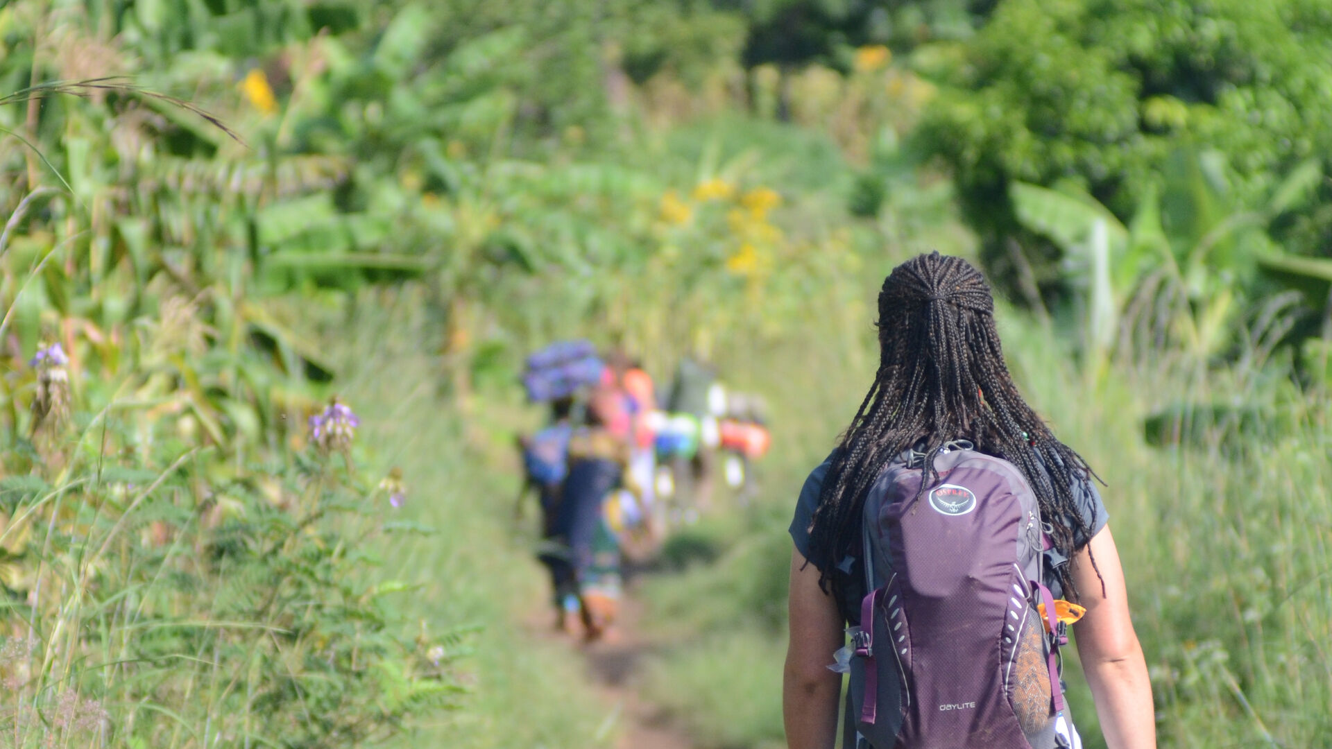 Global Studies Major | Houghton University